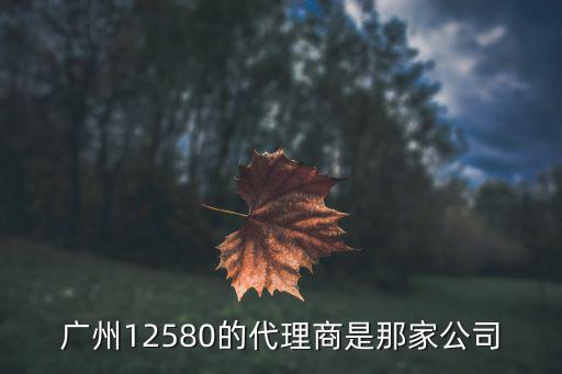 廣州12580的代理商是那家公司