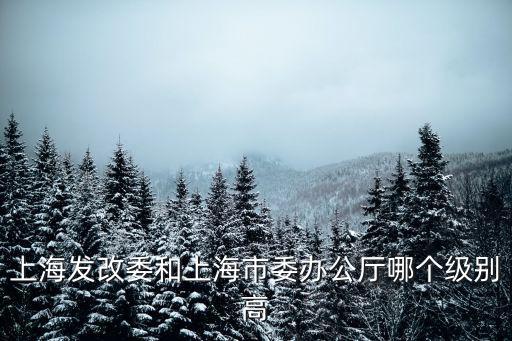 上海發改委和上海市委辦公廳哪個級別高