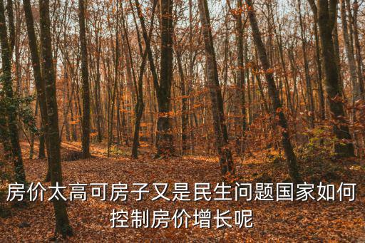 房價(jià)太高可房子又是民生問題國家如何控制房價(jià)增長呢