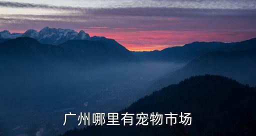 廣州哪里有寵物市場(chǎng)
