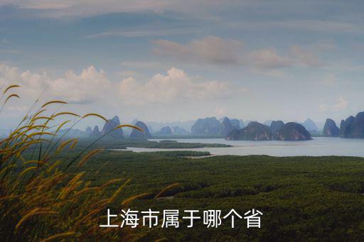上海市附加導則，上海增值稅附加有哪些