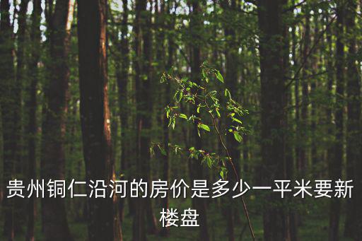 貴州銅仁沿河的房價是多少一平米要新樓盤