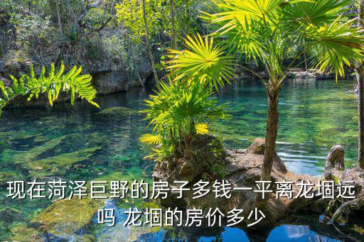 現在菏澤巨野的房子多錢一平離龍堌遠嗎 龍堌的房價多少