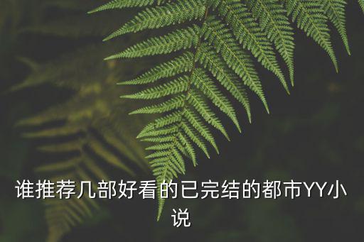 誰(shuí)推薦幾部好看的已完結(jié)的都市YY小說(shuō)