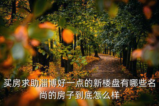 買房求助淄博好一點的新樓盤有哪些名尚的房子到底怎么樣