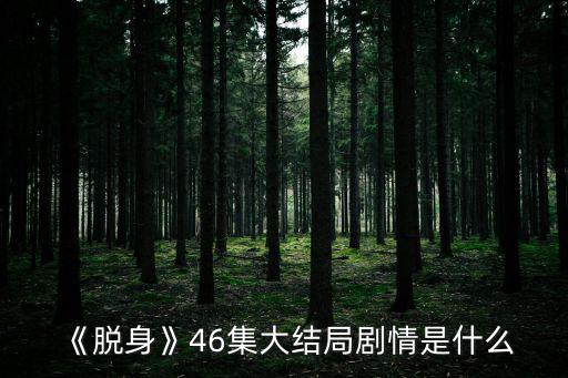 脫身大結局,《脫身》大結局:費儷娜和毛六爺同歸于盡
