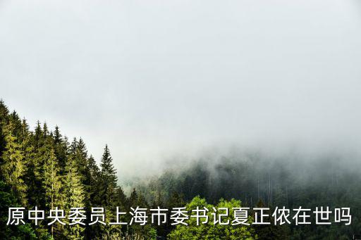 原上海市委書記出獄嗎，上海市市長被判刑的是哪一個