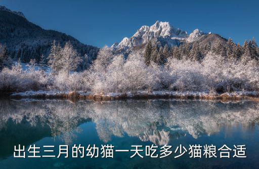 三個月大的貓一天吃多少貓糧，出生三月的幼貓一天吃多少貓糧合適