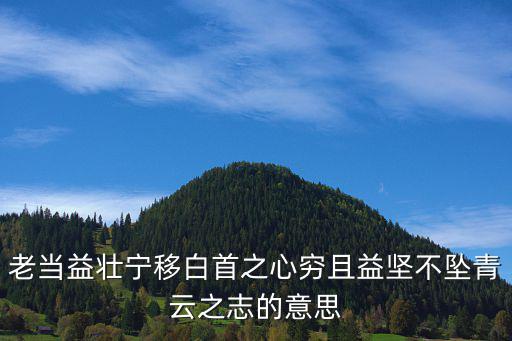 老當(dāng)益壯寧移白首之心窮且益堅不墜青云之志的意思