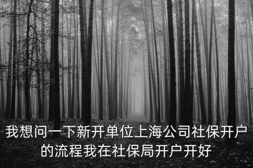 上海新企業社保開戶網上流程，我想問一下新開單位上海公司社保開戶的流程我在社保局開戶開好
