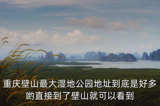 重慶壁山最大濕地公園地址到底是好多喲直接到了壁山就可以看到