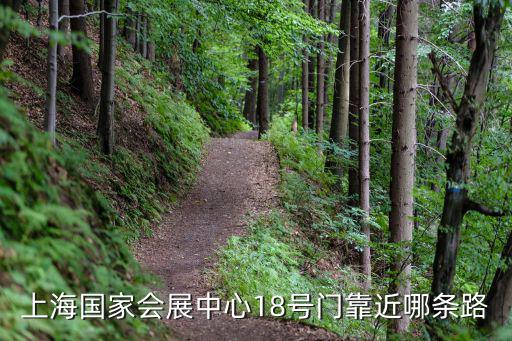上海國(guó)家會(huì)展中心18號(hào)門(mén)靠近哪條路