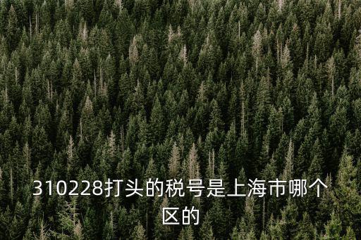 310228打頭的稅號是上海市哪個區的