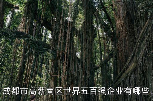 成都市高薪南區(qū)世界五百?gòu)?qiáng)企業(yè)有哪些