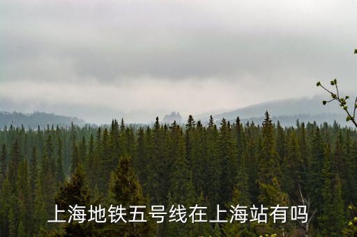 上海市五路地鐵站，上海地鐵5號線在哪站下能轉南江線