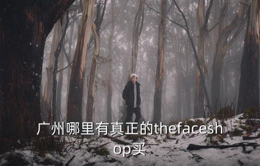 廣州哪里有真正的thefaceshop買