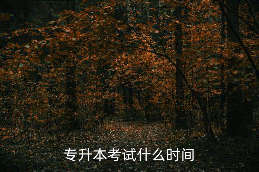 專升本考試什么時間
