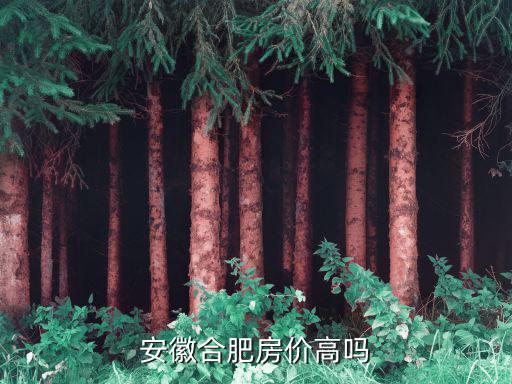 安徽哪個城市房價高，安徽哪個城市房價最高