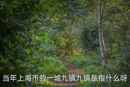 當年上海市的一城九鎮九鎮是指什么呀