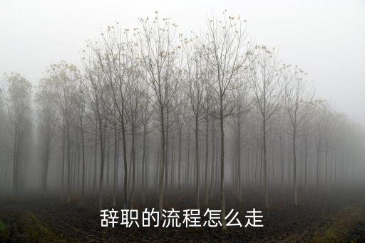 辭職,提前一個月申請辭職要在月頭遞交辭職信