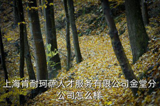 上海肯耐珂薩人才服務有限公司金堂分公司怎么樣