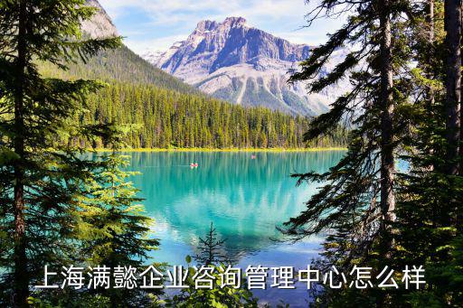 上海滿懿企業(yè)咨詢管理中心怎么樣