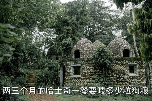 三個月大的哈士奇吃多少，問一下三個月大的小哈正常應該吃多少呢
