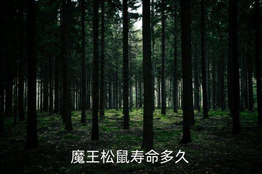 魔王松鼠壽命多久