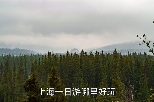 上海一日游哪里好玩