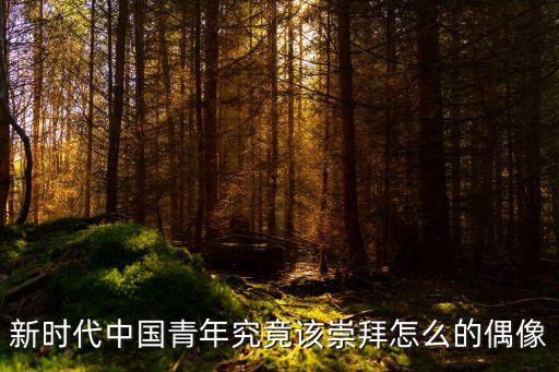 偶像崇拜,追星族對偶像極度喜愛、狂熱和迷戀