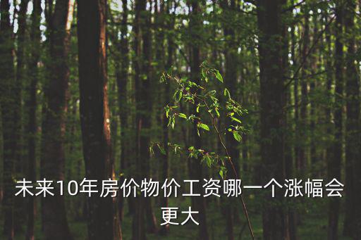 未來10年房價物價工資哪一個漲幅會更大
