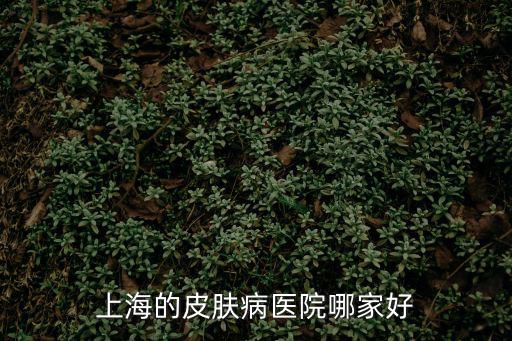上海的皮膚病醫(yī)院哪家好