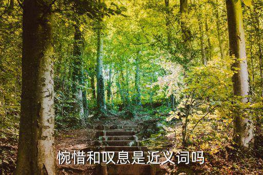 惋惜的近義詞,可惜是近義詞嗎?