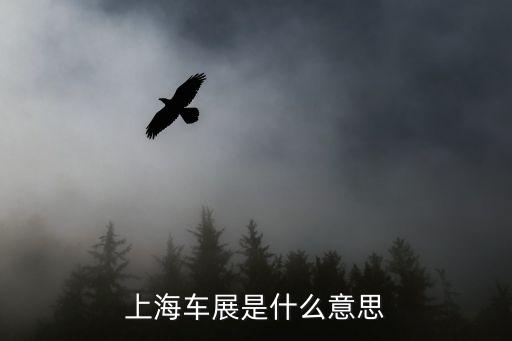 上海車展是什么意思