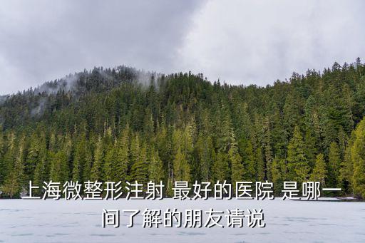 上海正規微整醫院排名，上海微整形注射 最好的醫院 是哪一間了解的朋友請說