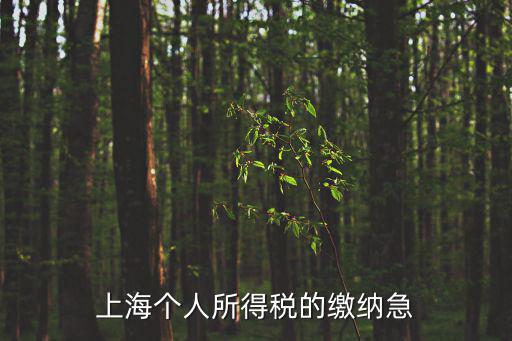 上海個(gè)人所得稅的繳納急