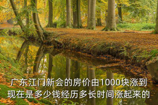 廣東江門新會的房價由1000塊漲到現在是多少錢經歷多長時間漲起來的