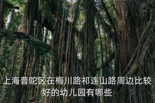 上海市祁連中心幼兒園，上海普陀區在梅川路祁連山路周邊比較好的幼兒園有哪些
