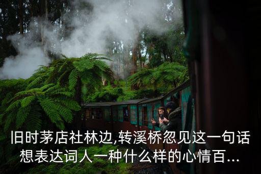舊時(shí)茅店社林邊,轉(zhuǎn)溪橋忽見這一句話想表達(dá)詞人一種什么樣的心情百...