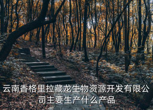 云南香格里拉藏龍生物資源開發有限公司主要生產什么產品