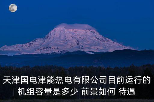 天津國電津能熱電有限公司目前運(yùn)行的機(jī)組容量是多少 前景如何 待遇