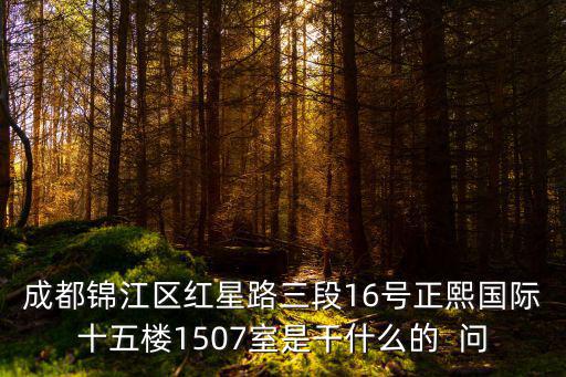 成都錦江區紅星路三段16號正熙國際十五樓1507室是干什么的  問
