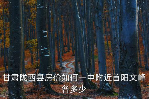 甘肅隴西縣房價如何一中附近首陽文峰各多少