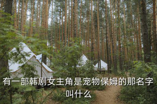 有一部韓劇女主角是寵物保姆的那名字叫什么