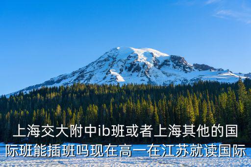 上海交大附中ib班或者上海其他的國際班能插班嗎現在高一在江蘇就讀國際