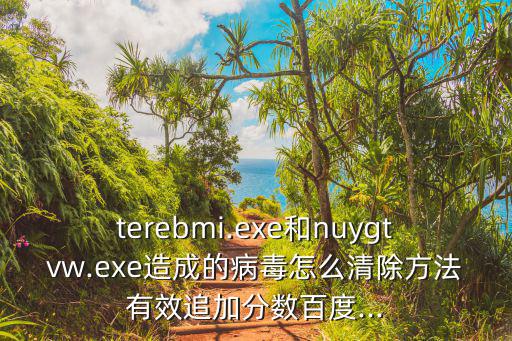 terebmi.exe和nuygtvw.exe造成的病毒怎么清除方法有效追加分數百度...