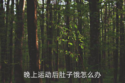 晚上運動后肚子餓怎么辦
