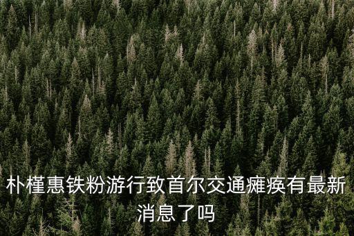 樸槿惠鐵粉游行致首爾交通癱瘓有最新消息了嗎