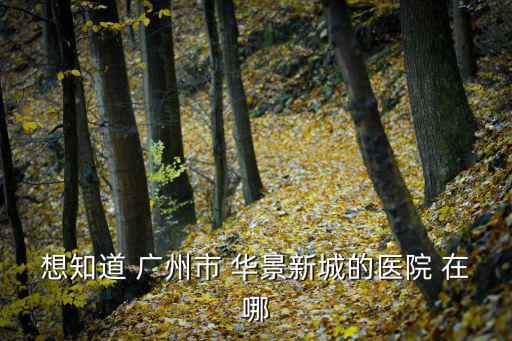 廣州華景新城有人感染病毒，想知道 廣州市 華景新城的醫(yī)院 在哪