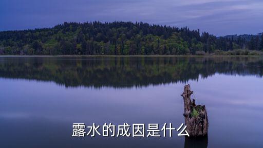 露水的成因是什么